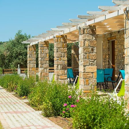 Olive Land Villas ลิเมนาเรีย ภายนอก รูปภาพ