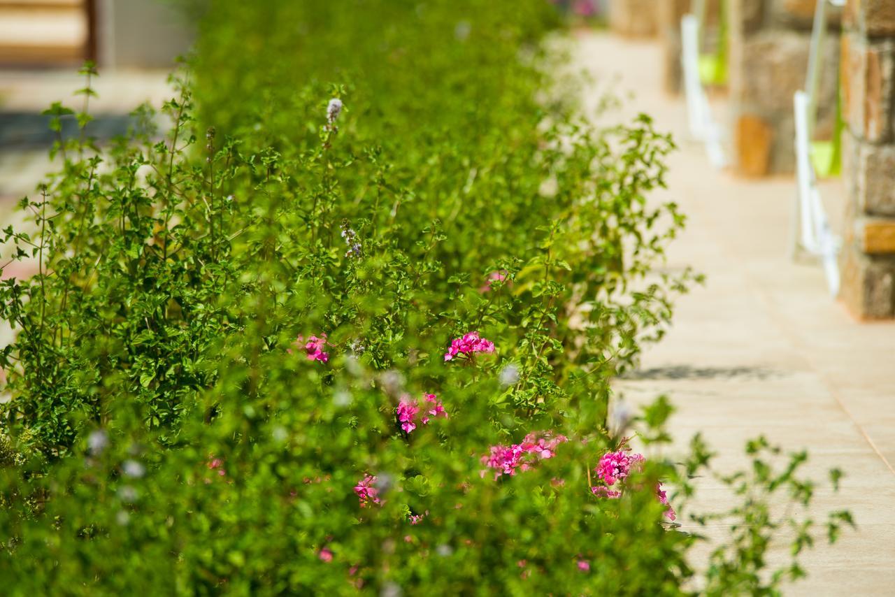 Olive Land Villas ลิเมนาเรีย ภายนอก รูปภาพ